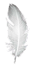 Musk